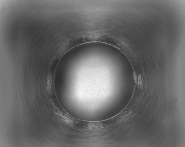 X0000067941299200604171450