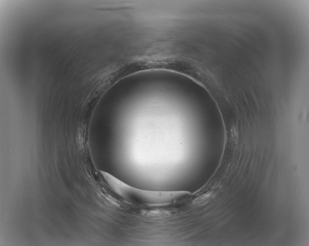 X0000067941300200604171450