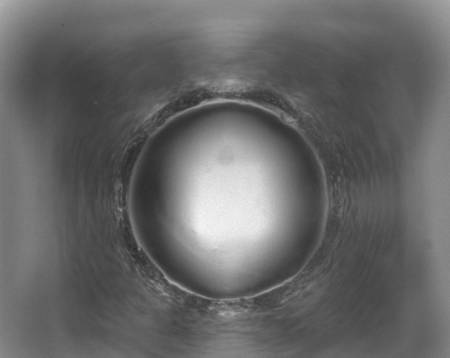 X0000067941301200604171450