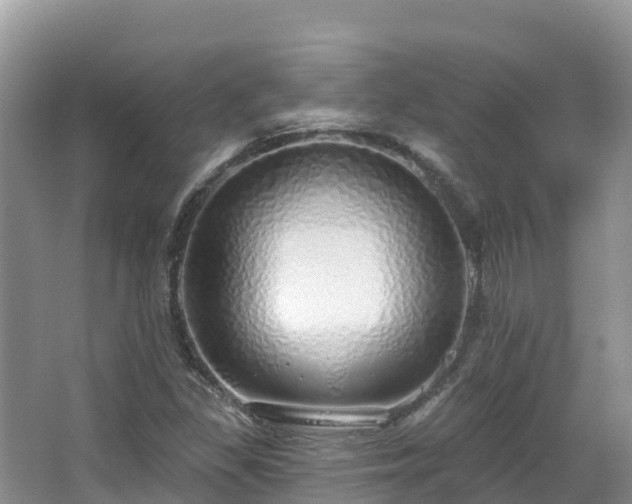 X0000067941309200604171450