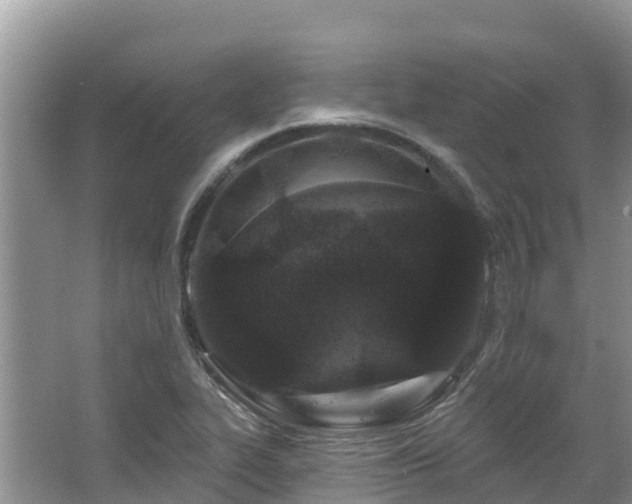X0000067941319200604171450