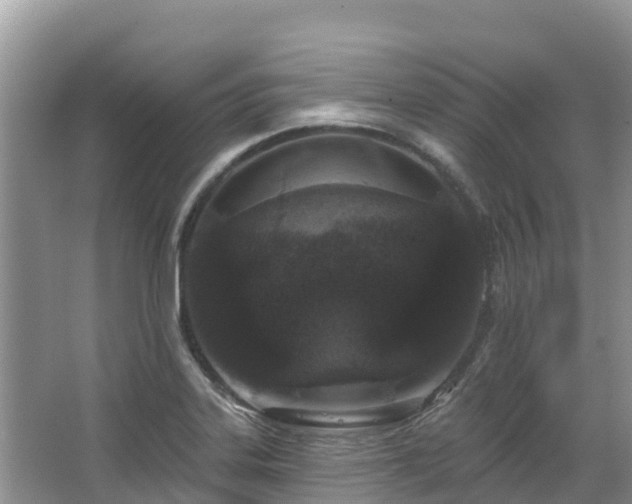 X0000067941323200604171450