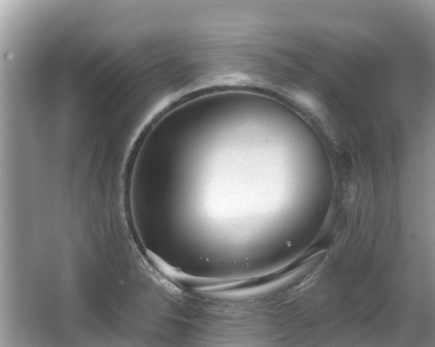 X0000067941326200604171450