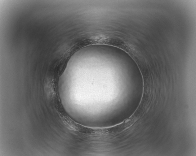 X0000067941346200604171450