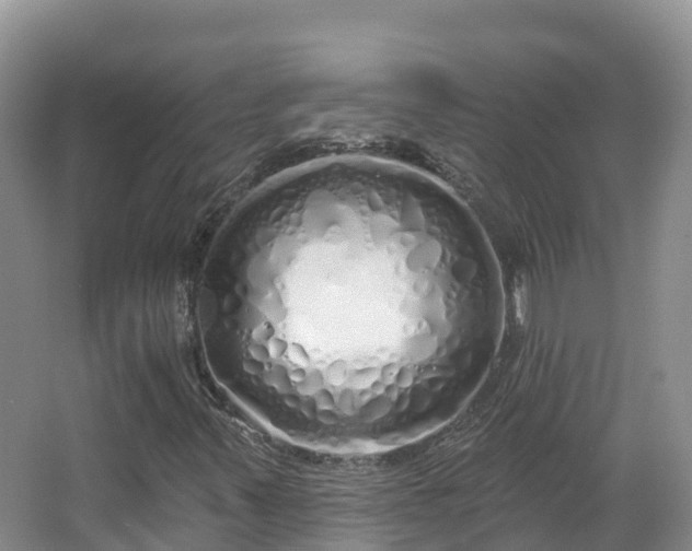 X0000067941347200604171450