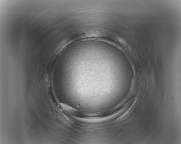 X0000067941353200604171450