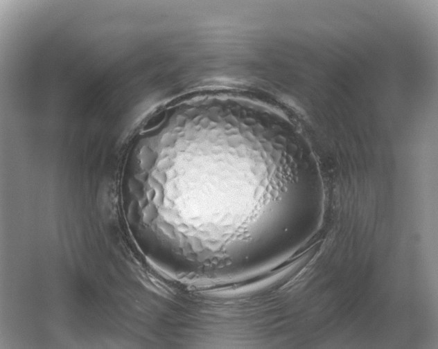 X0000067941355200604171450