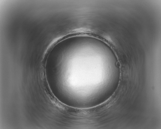 X0000067941358200604171450