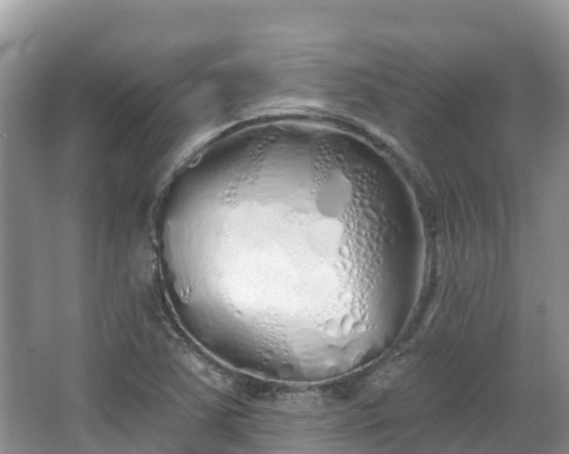 X0000067941363200604171450