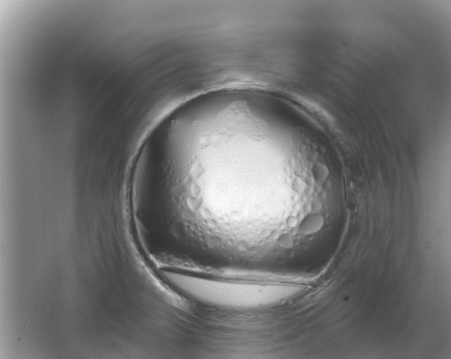 X0000067941375200604171449