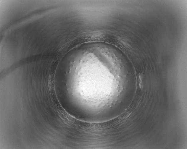X0000067941395200604171448