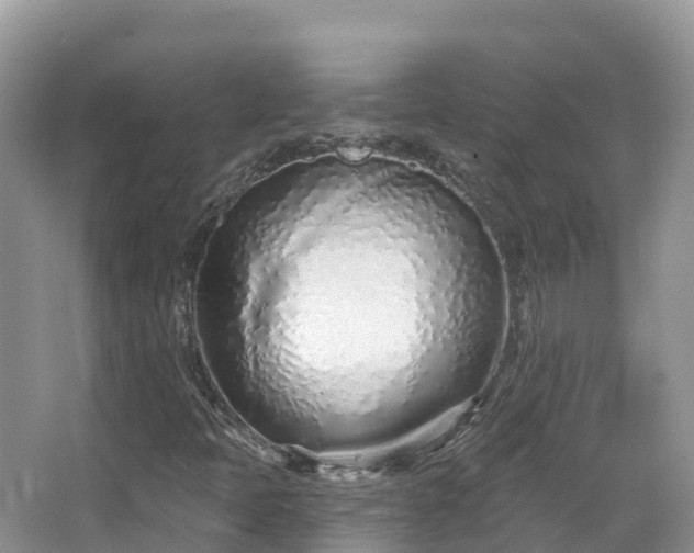 X0000067941397200604171448