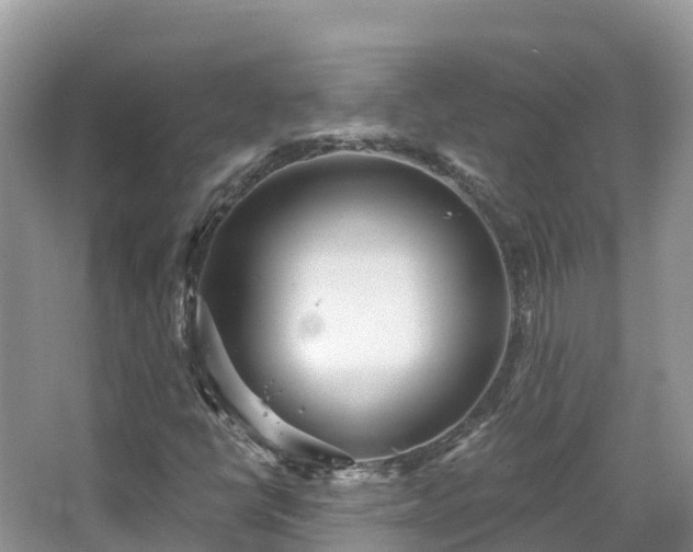 X0000067941398200604171448