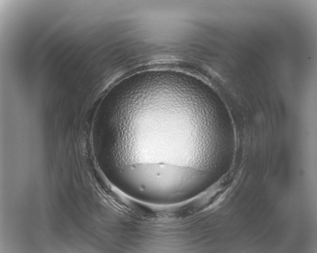 X0000067941401200604171448