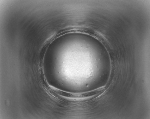 X0000067941403200604171448