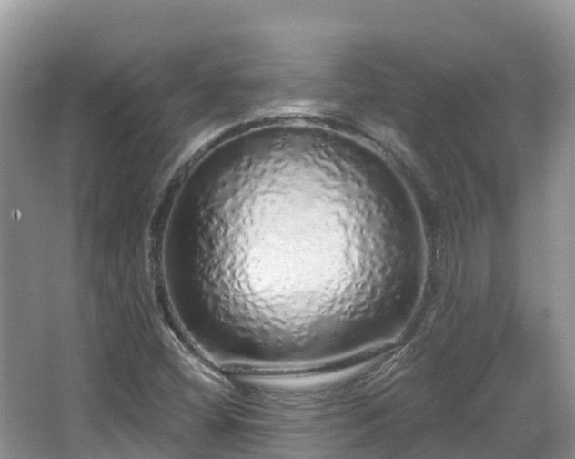 X0000067941404200604171448