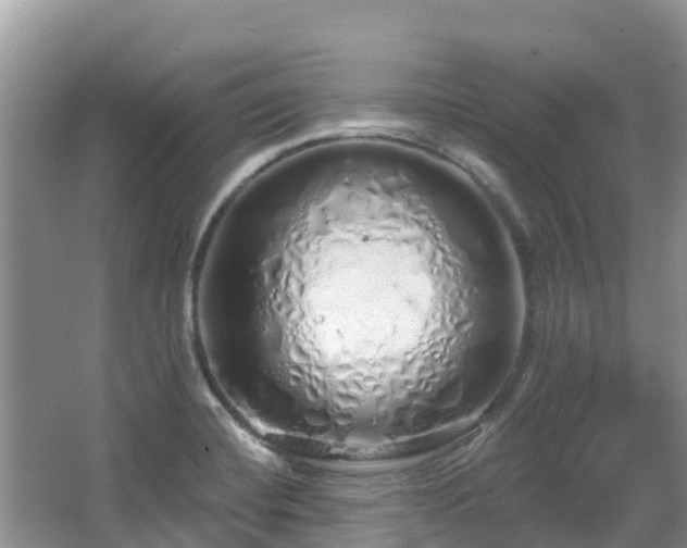 X0000067941420200604171449