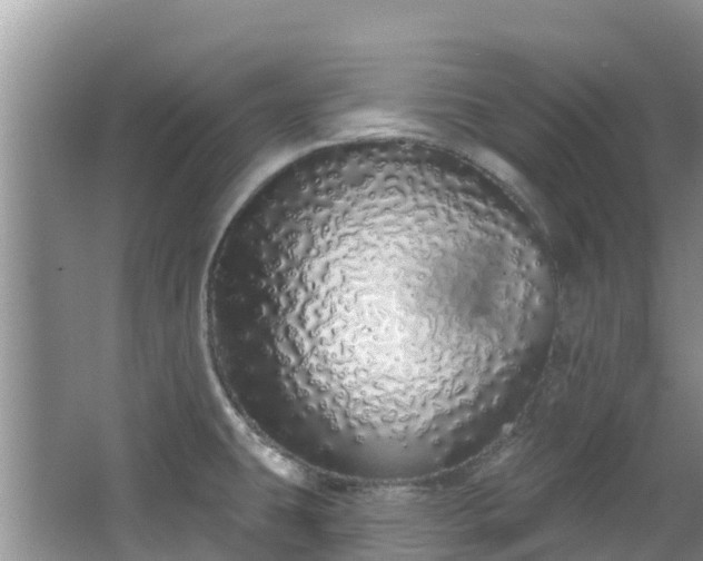 X0000067941431200604171449