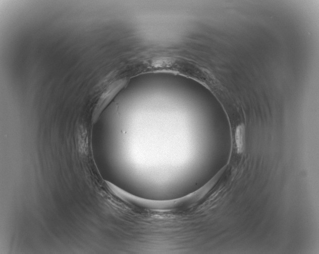 X0000067941443200604171448