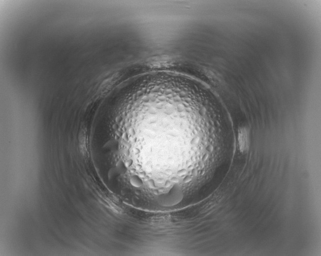 X0000067941444200604171448