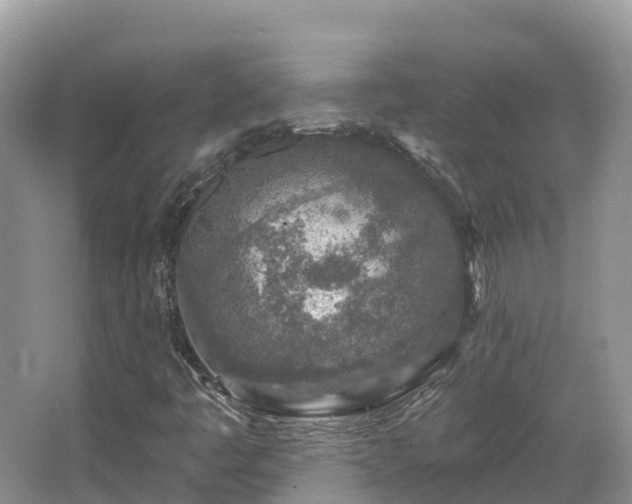 X0000067941445200604171448