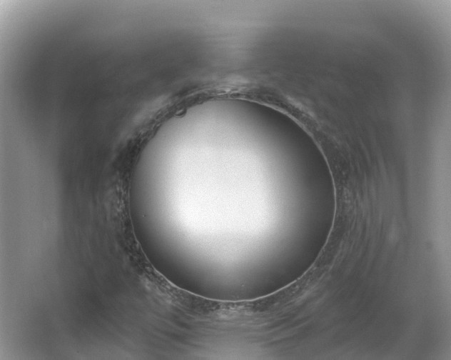 X0000067941447200604171448