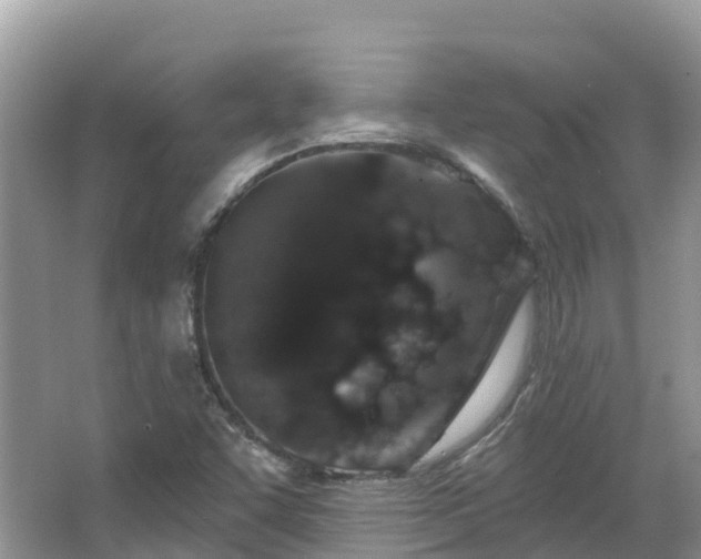 X0000067941455200604171448