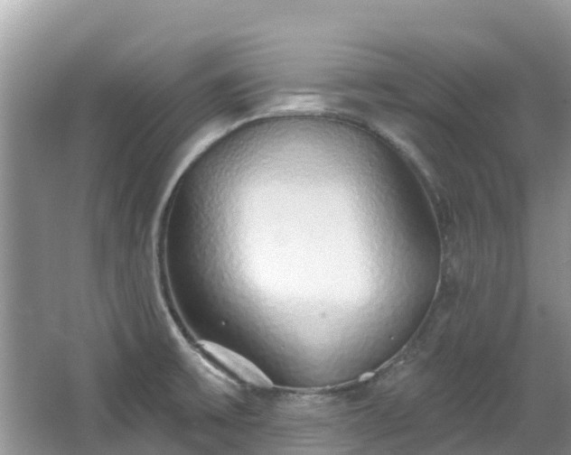X0000067941475200604171448