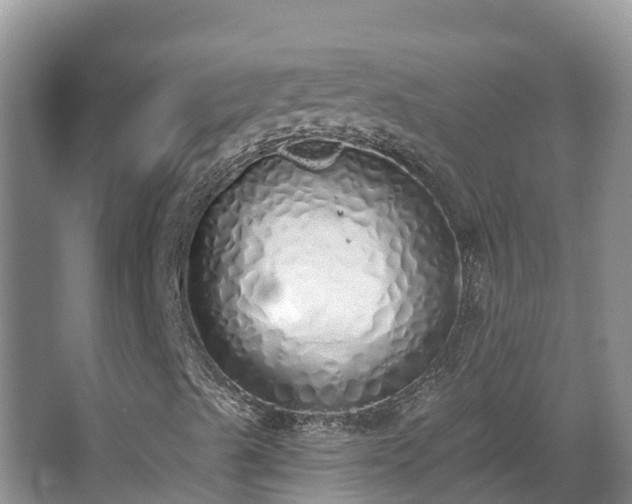 X0000067941489200604171447