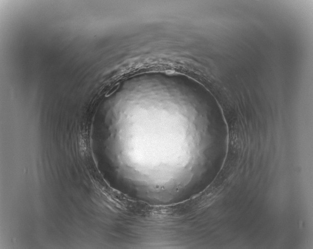 X0000067941490200604171447