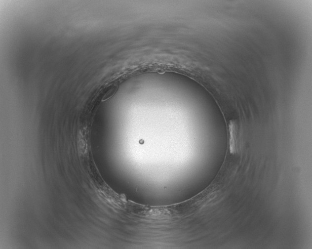 X0000067941491200604171447