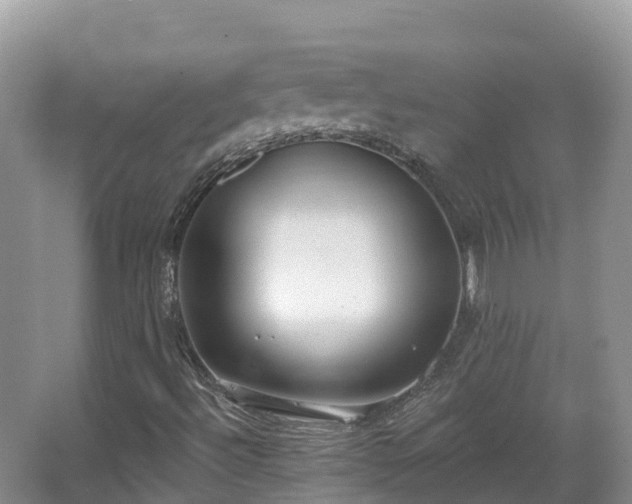 X0000067941492200604171447