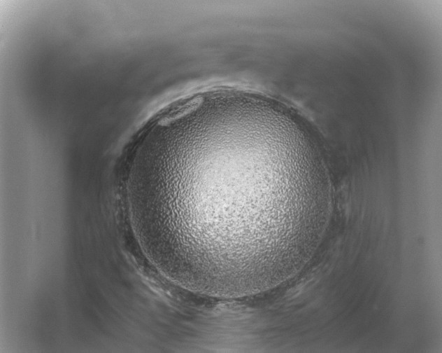 X0000067941496200604171447