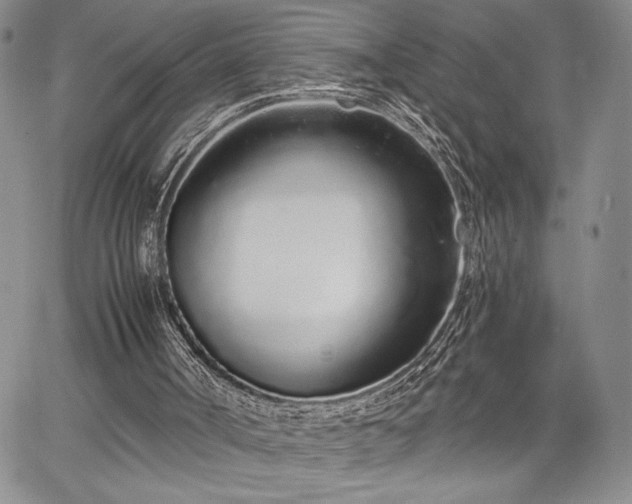 X0000067940002200604201417