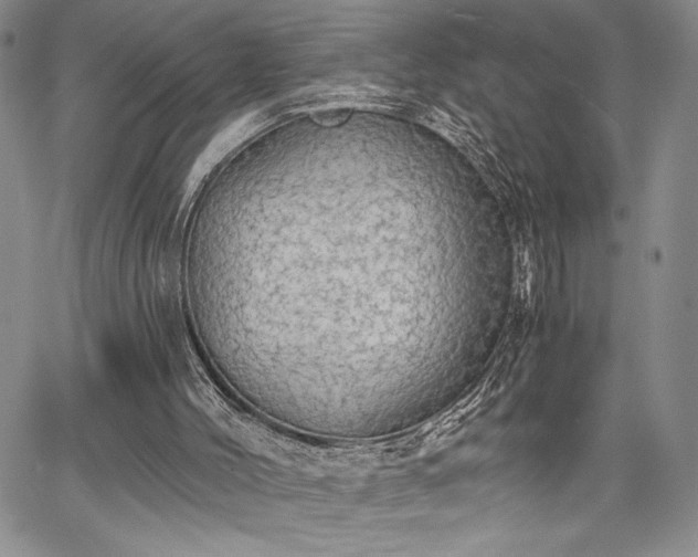 X0000067940004200604201417