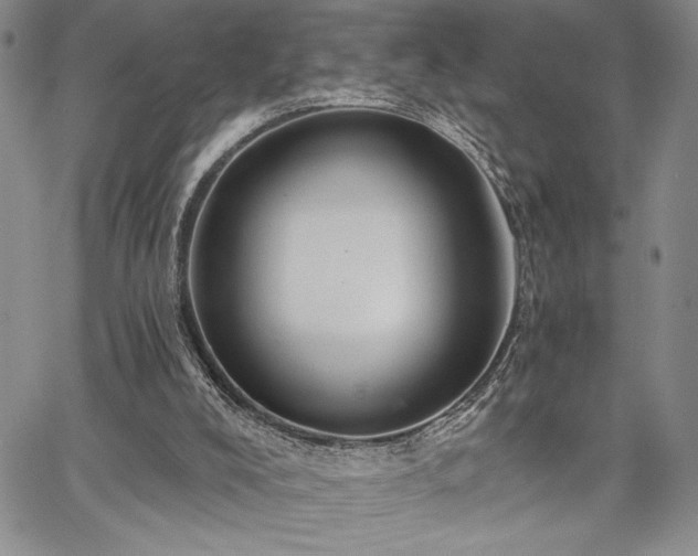 X0000067940008200604201417
