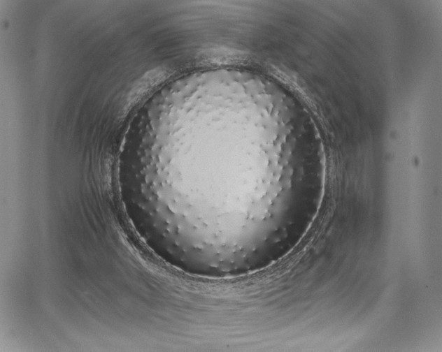 X0000067940010200604201417