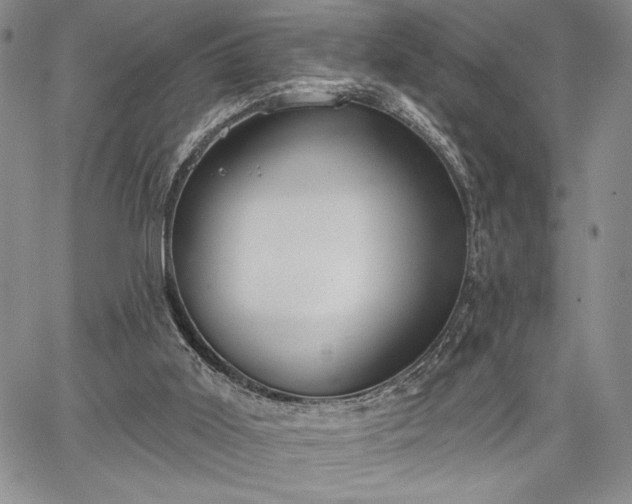 X0000067940011200604201417