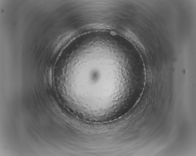 X0000067940014200604201417