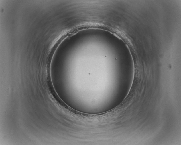 X0000067940015200604201417