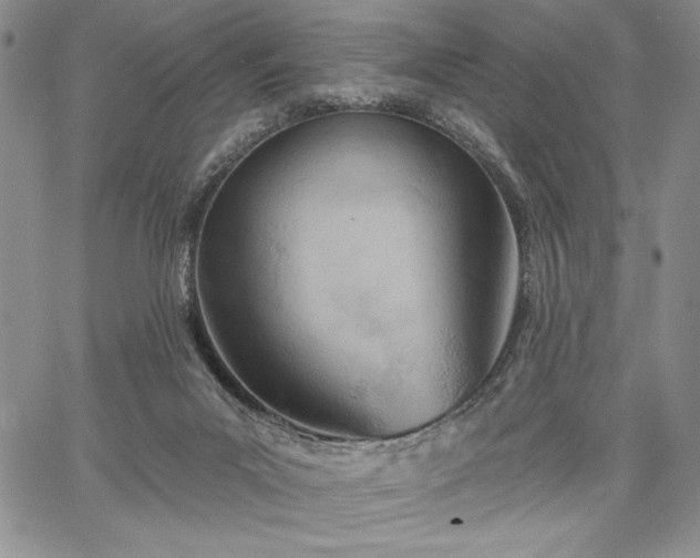 X0000067940023200604201417