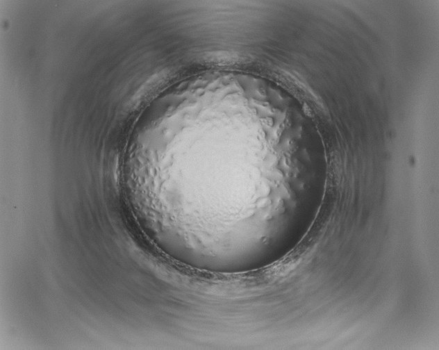 X0000067940024200604201417