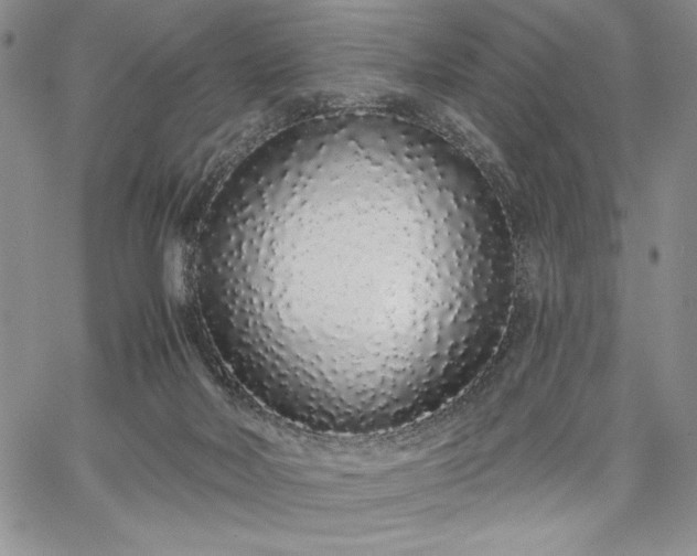 X0000067940026200604201417