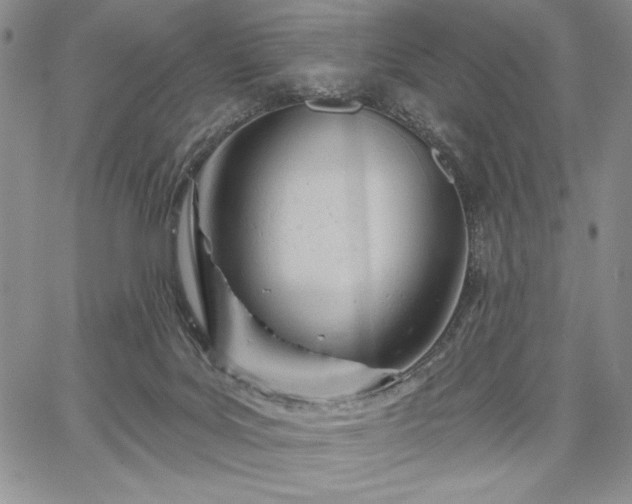 X0000067940027200604201417