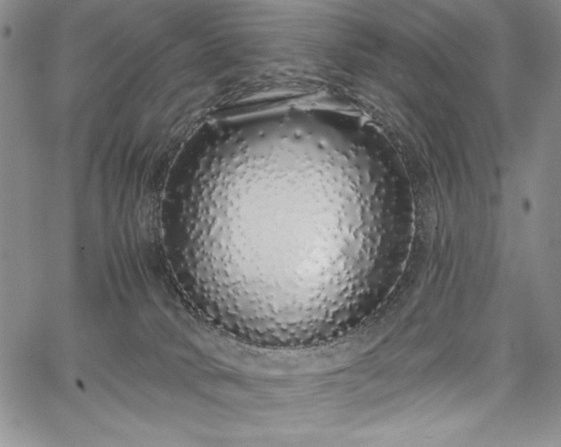X0000067940034200604201417