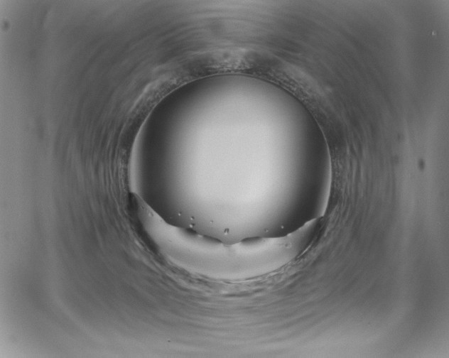 X0000067940035200604201417