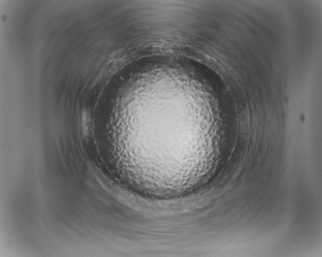 X0000067940038200604201417