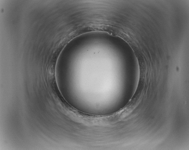 X0000067940040200604201417