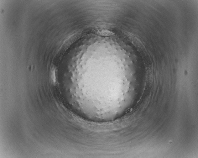 X0000067940042200604201417