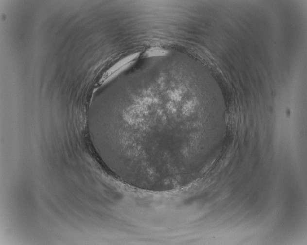 X0000067940043200604201417